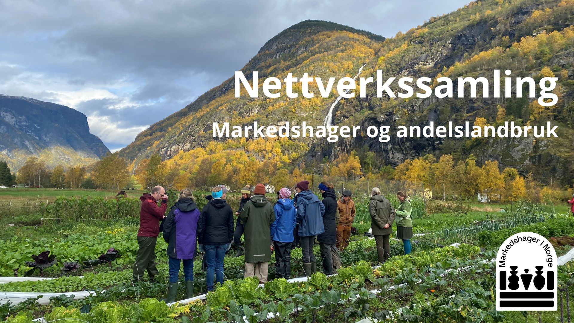 Nasjonal Nettverkssamling 2023 | Markedshager Norge