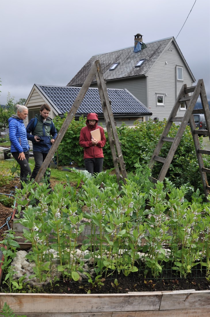 Markedshager I Bergen | Markedshager Norge